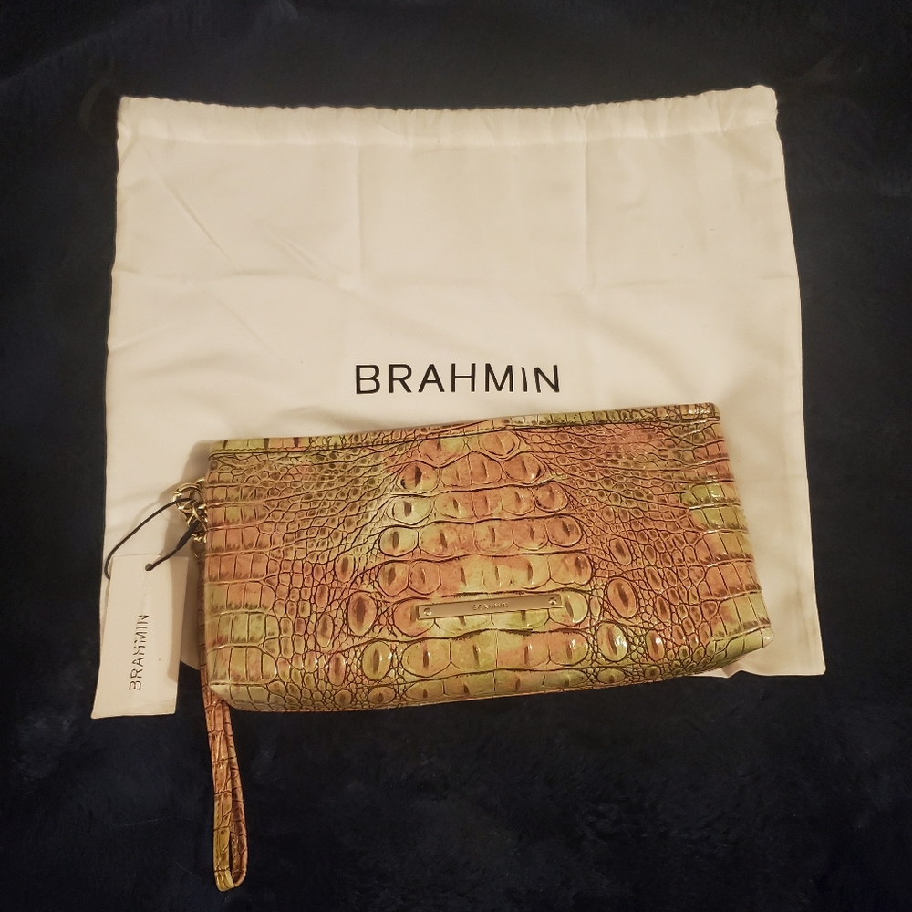 Brahman multi-colored wristlet bag